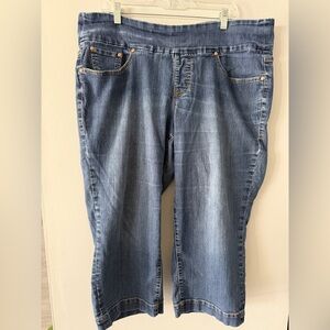Jag Jeans Women's Straight Leg Denim